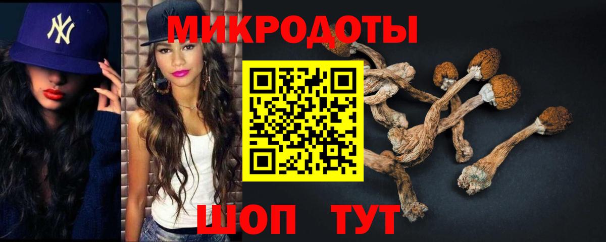 Псилоцибиновые грибы мухоморы  Вход с VPN  Грозный  Псилоцибиновые грибы GOLDEN TEACHER 